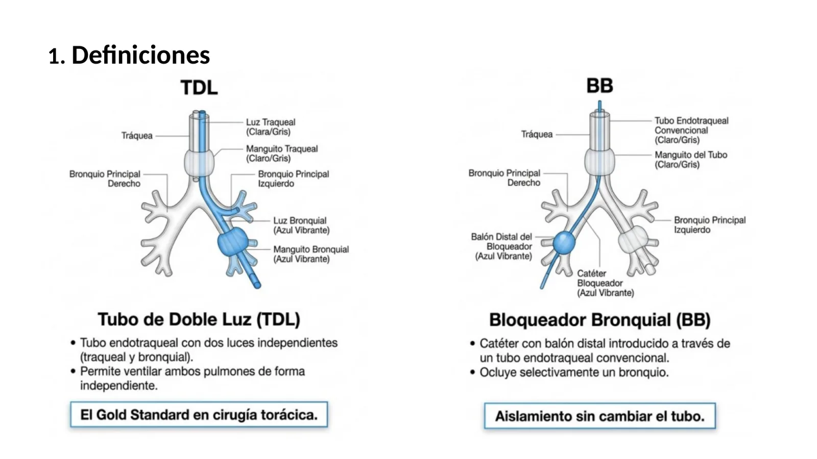 Diapositiva 2