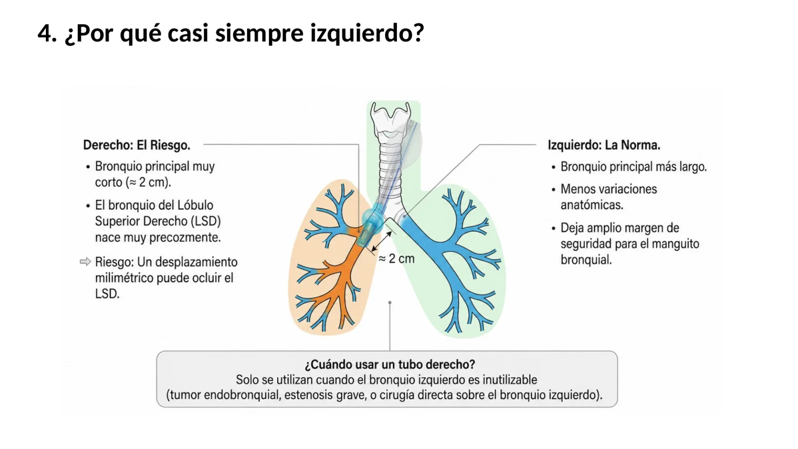 Diapositiva 5