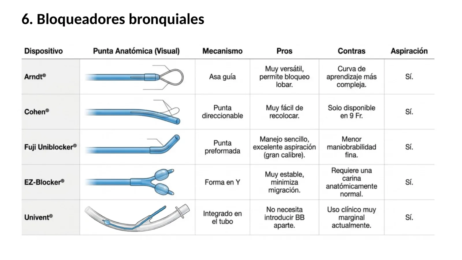 Diapositiva 7